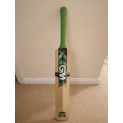 GM Duellist cricket bat