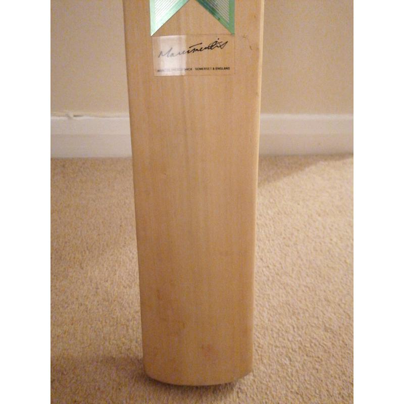 GM Duellist cricket bat