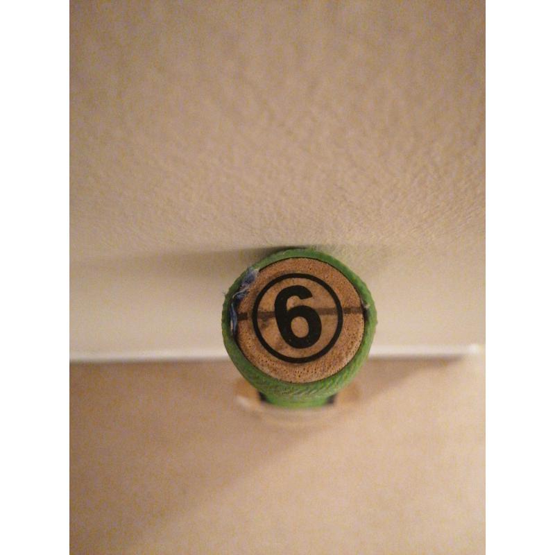GM Duellist cricket bat