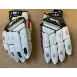 Cricket kit (2 pairs of pads, gloves, helmet, guards, bag)