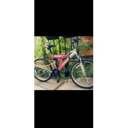 Bicycle 24 inch