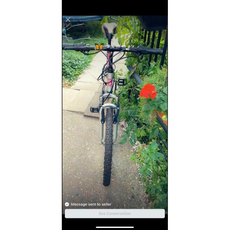 Bicycle 24 inch