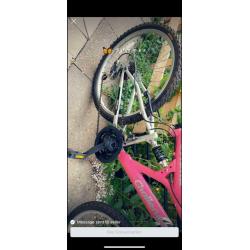 Bicycle 24 inch