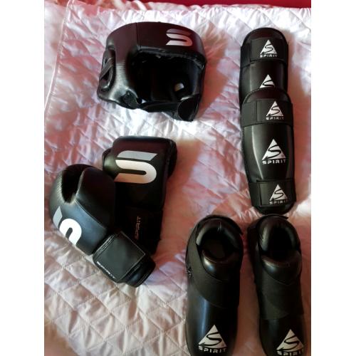Martial Art Sparring set new