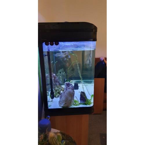 Fish tank with all accessories