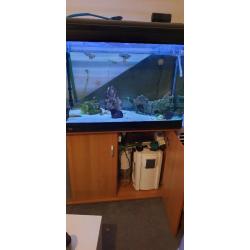 Fish tank with all accessories