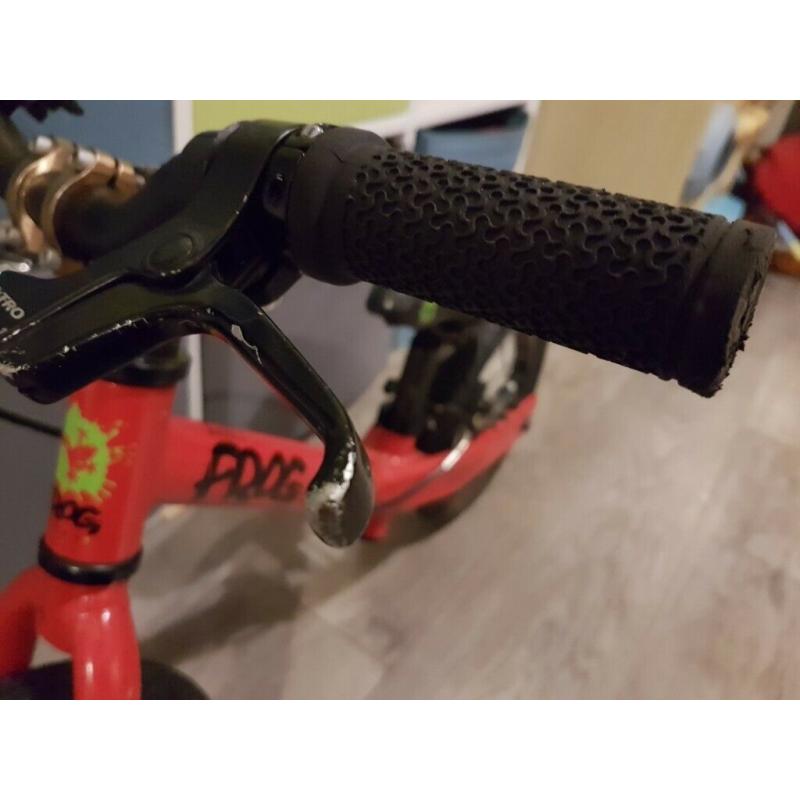 Frog Bike - Tadpole Balance Bike