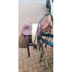 Tack room cleare out