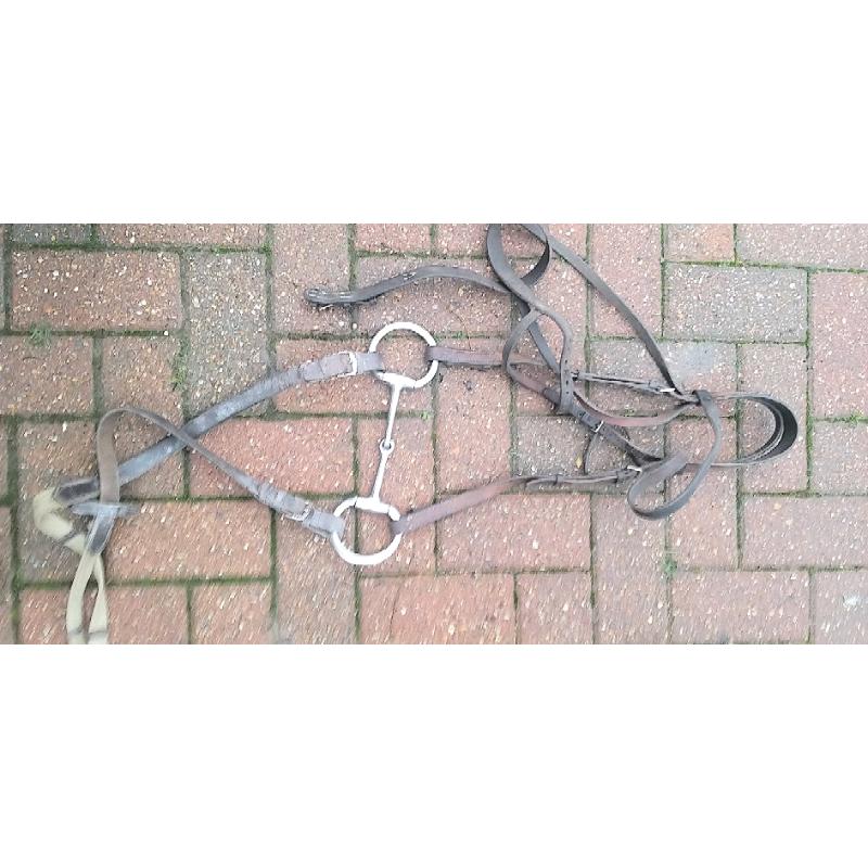 Tack room cleare out