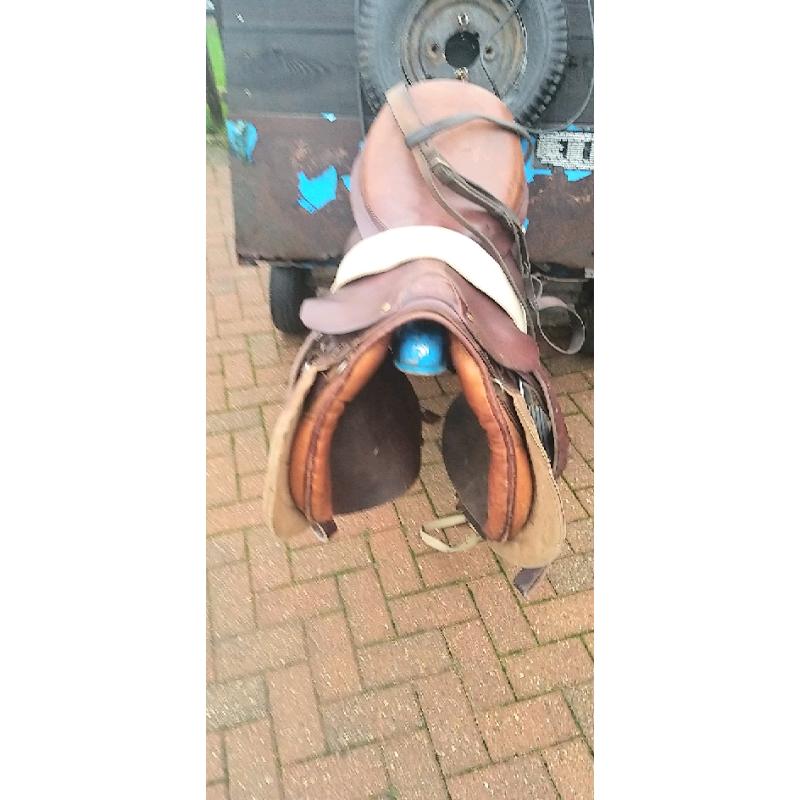 Tack room cleare out