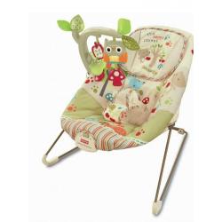 Fisher-Price Cozy Cocoon Bouncer Newborn Chair
