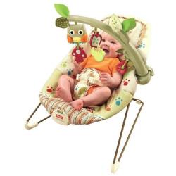 Fisher-Price Cozy Cocoon Bouncer Newborn Chair