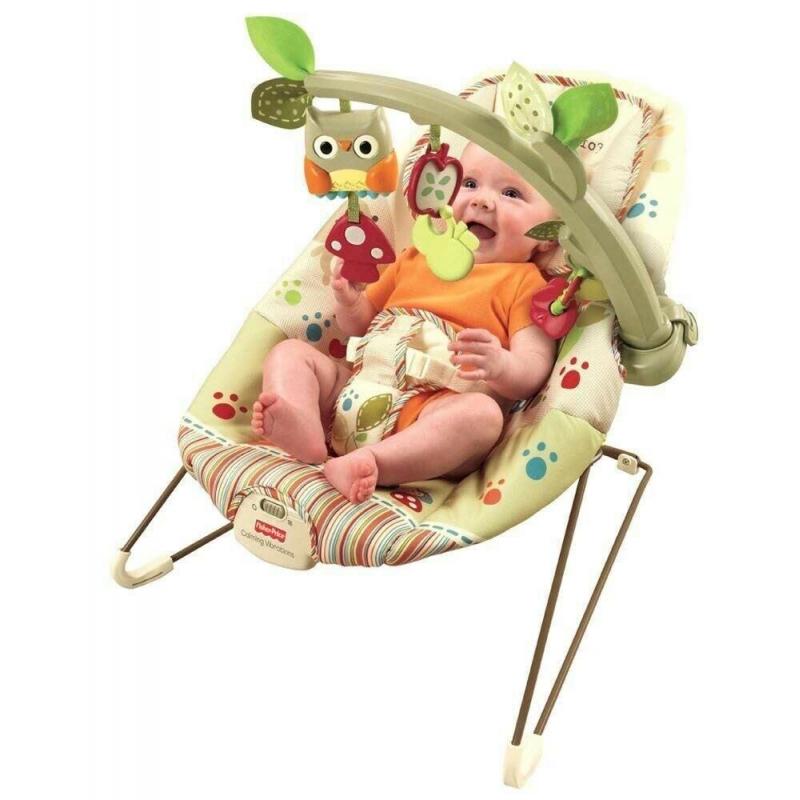 Fisher-Price Cozy Cocoon Bouncer Newborn Chair