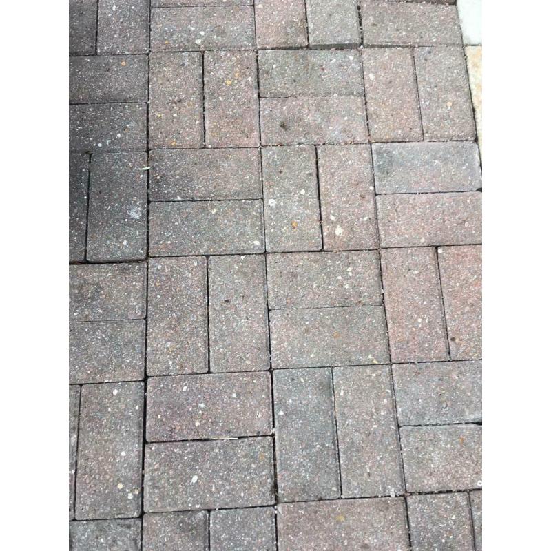 450+ Brick Pavers