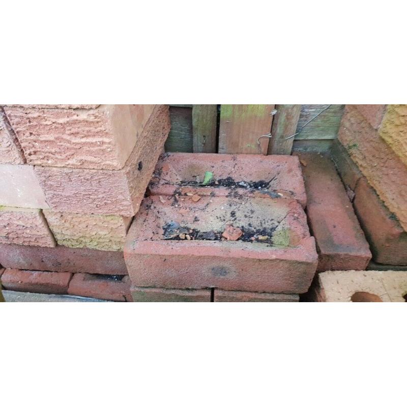 900+Assorted bricks,pavers and a few offcuts