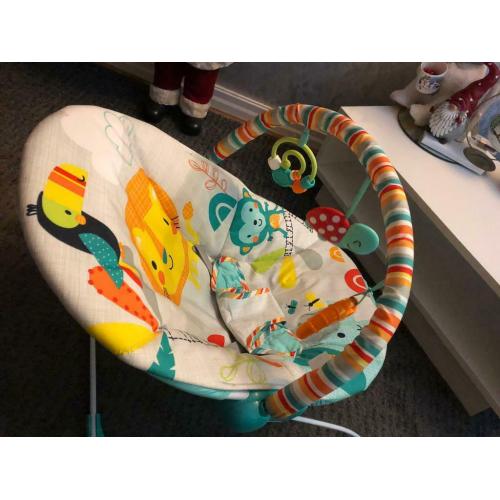 Chad Valley Jungle Friends Deluxe Baby Bouncer