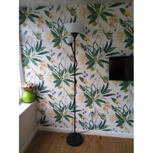 Floor lamp with reading arm