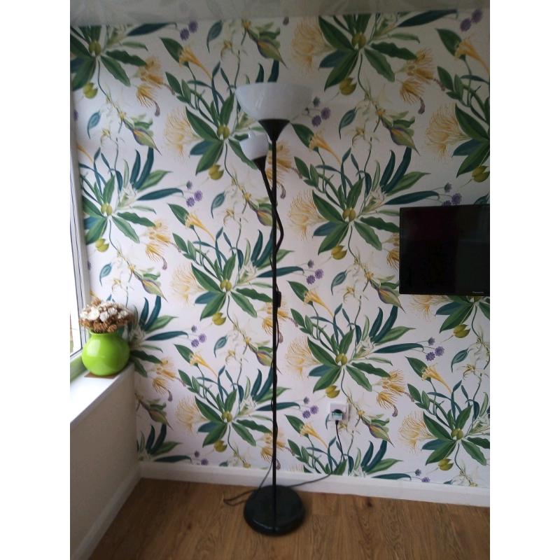 Floor lamp with reading arm