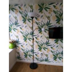 Floor lamp with reading arm