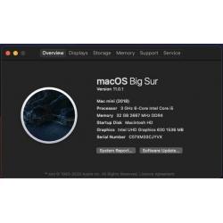 Mac Mini 2018 i5, 32GB Ram, 256 SSD