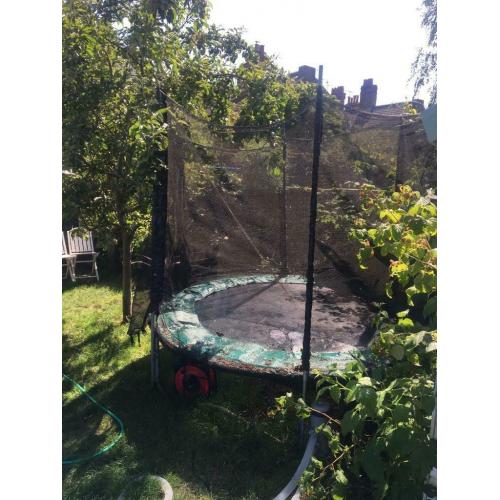 Trampoline FREE