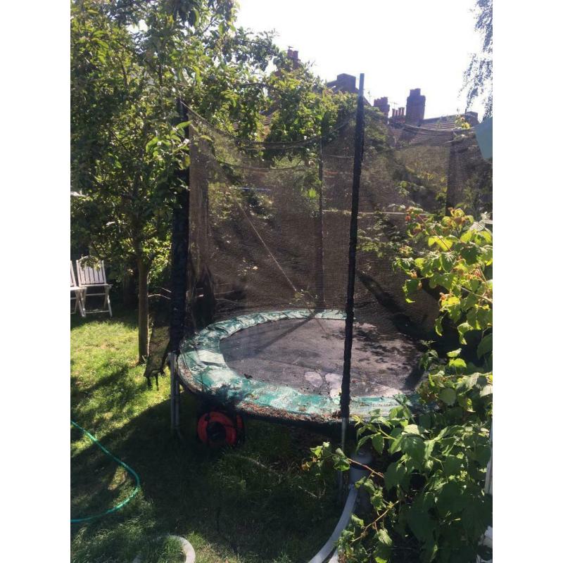 Trampoline FREE