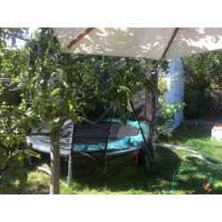 Trampoline FREE